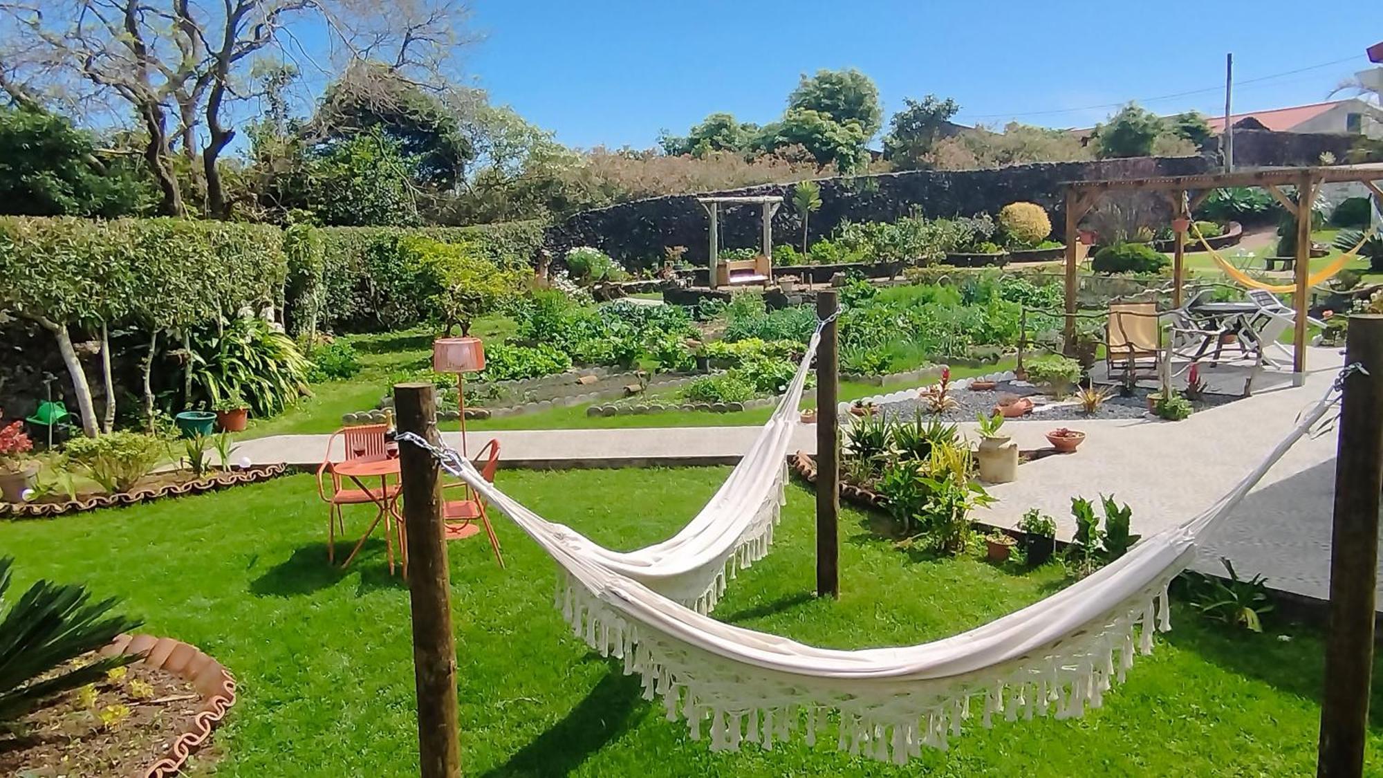 Quinta Dos Sentidos , Rustic Holiday Houses In Sao Vicente Ferreira Ngoại thất bức ảnh