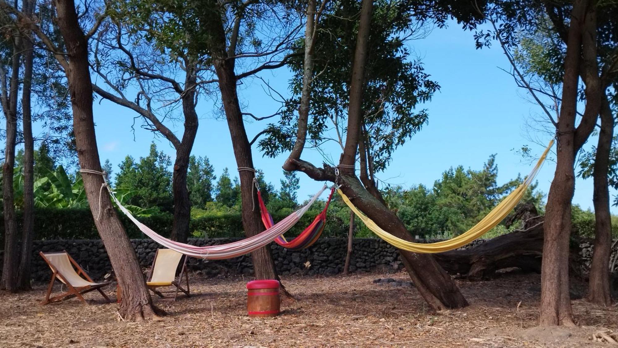 Quinta Dos Sentidos , Rustic Holiday Houses In Sao Vicente Ferreira Ngoại thất bức ảnh