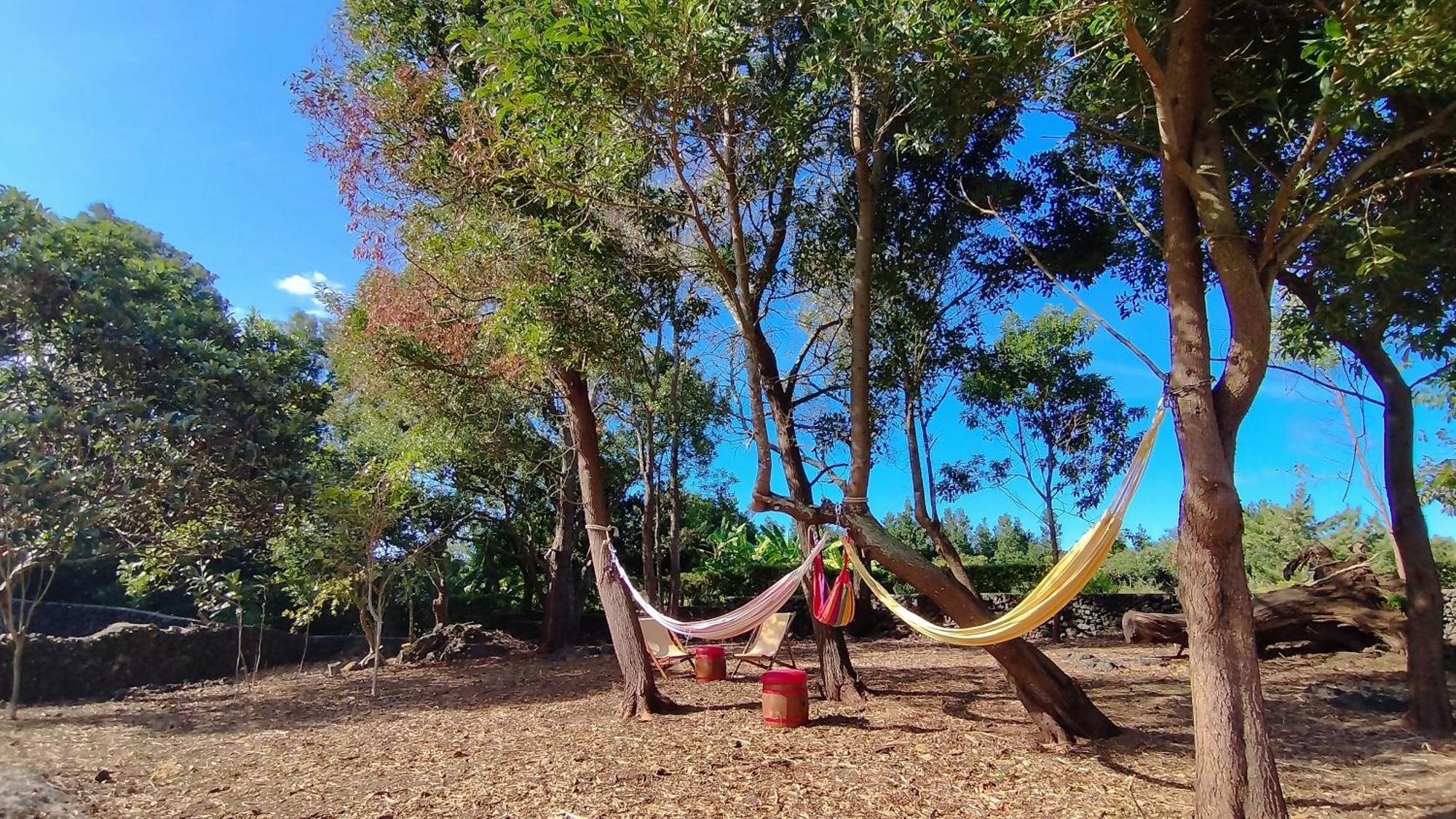Quinta Dos Sentidos , Rustic Holiday Houses In Sao Vicente Ferreira Ngoại thất bức ảnh